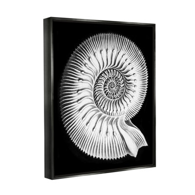 " Spiral Sea Life Beach Shell Modern Fractal " by Graffitee Studios
