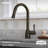 Adler Pull Down Single Handle Kitchen Faucet with Accessories-48057842