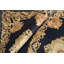 Hand-Knotted High-Quality Black Area Rug