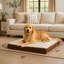 Grand lit orthopédique pour chien PETMAker 2 couches - Lit pour animal 36 x 27, brun-20768939-20782102