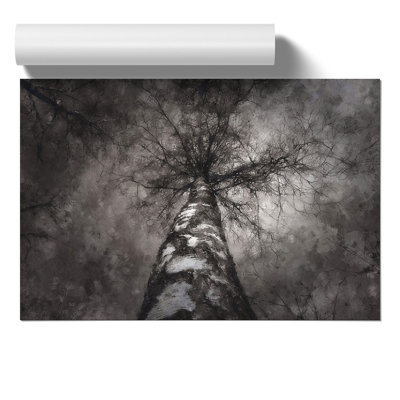 Birch Tree - No Frame Painting