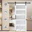 Porte standard en verre semi-solide-103568385