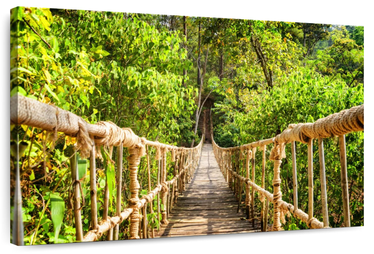 Gangle Rope Elephant Stock Jungle Adventure Rope Bridge | Wayfair