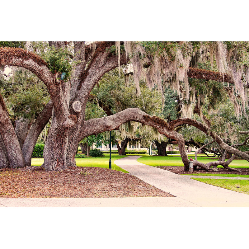 Jekyll Island Georgia - photographie sur toile tendue, H 24 po x l 36 po