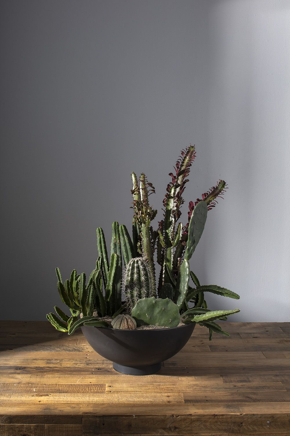 Allie Ceramic Pot Planter, 7.75'' H x 16.5'' W x 16.5'' D