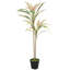 90cm Plant
