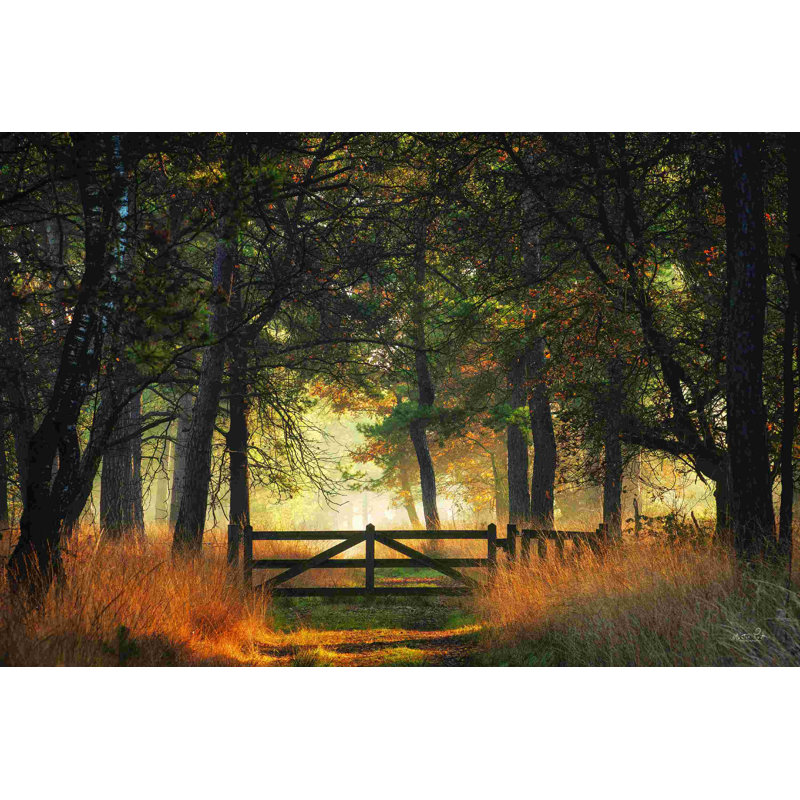 " The Gate " by Martin Podt, 8" H x 12" W, Wrapped Canvas, No