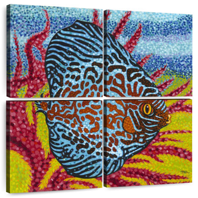 Brampt brillant poisson tropical II