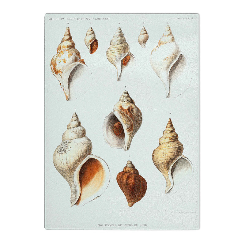 Tempered Glass Conch Shells by Albert I Chopping Board, 28.5cm W x 20cm L