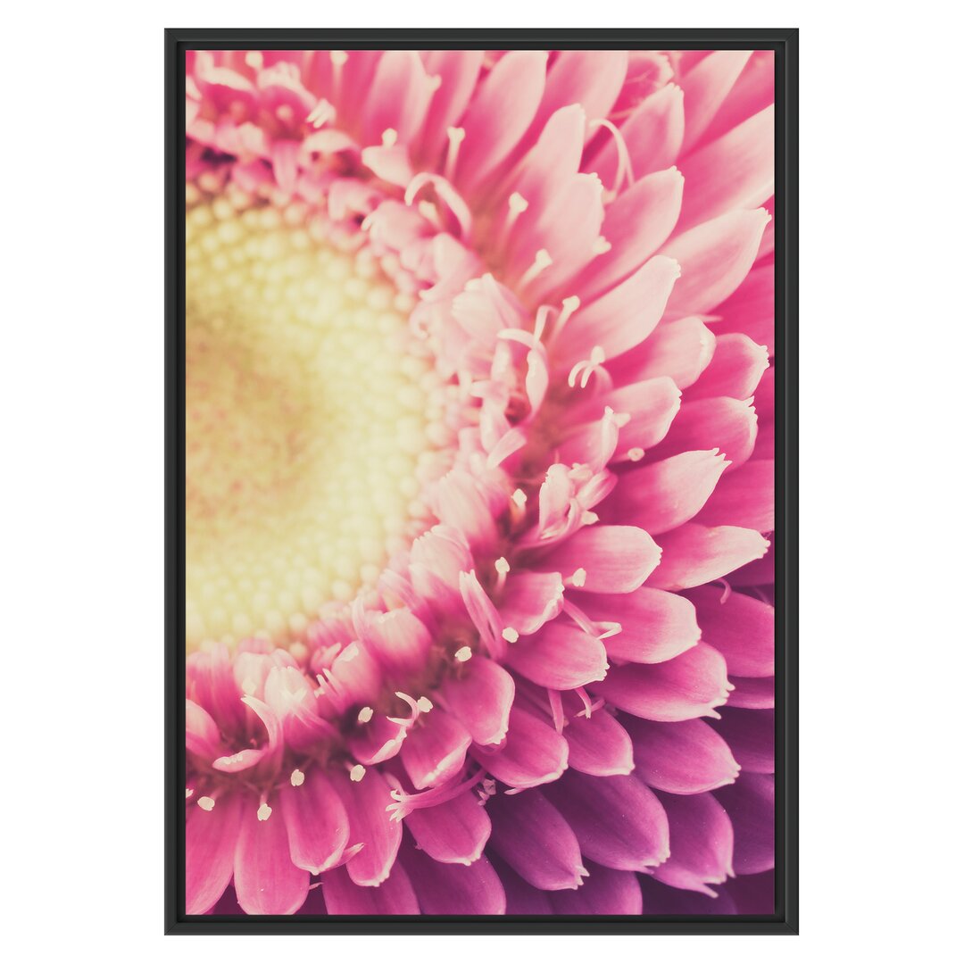 Gerahmtes Wandbild Wunderschöne Gerbera Blüte