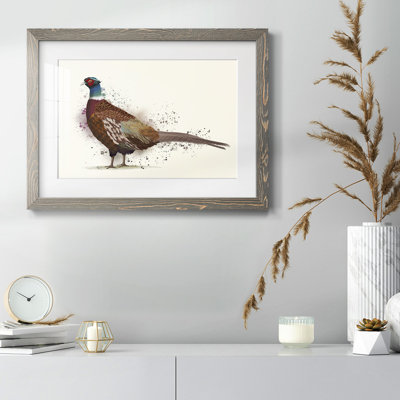 Pheasant Splash 1