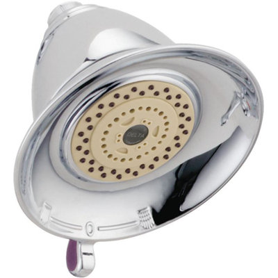Pomme de douche 2,5 GPM Universal Showering components