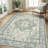 Roehit Oriental Performance Machine Washable Area Rug-949130764-965296199