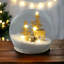 Brainerd Snow Globe