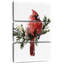 Brampt cardinal avec neige I-108661523