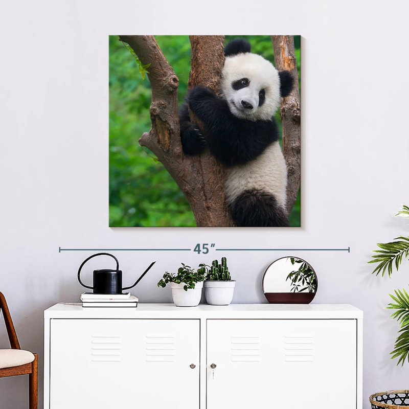 Bramble adorable panda