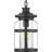 Pettiford Outdoor Hanging Lantern-999702988