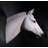 White Horse Head Statue