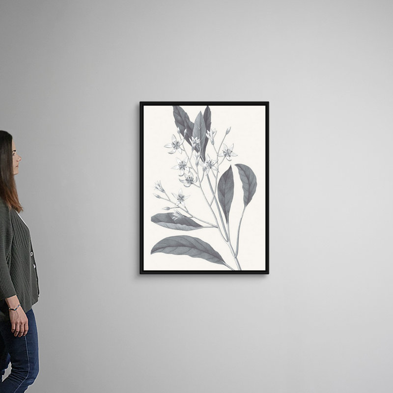 «Neutral Botanical V», art mural sur toile, Toile avec cadre noir, H 40 po x l 30 po x P 2 po