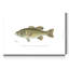 « Large-Mouthé Black Bass », impression sur toile-58118661