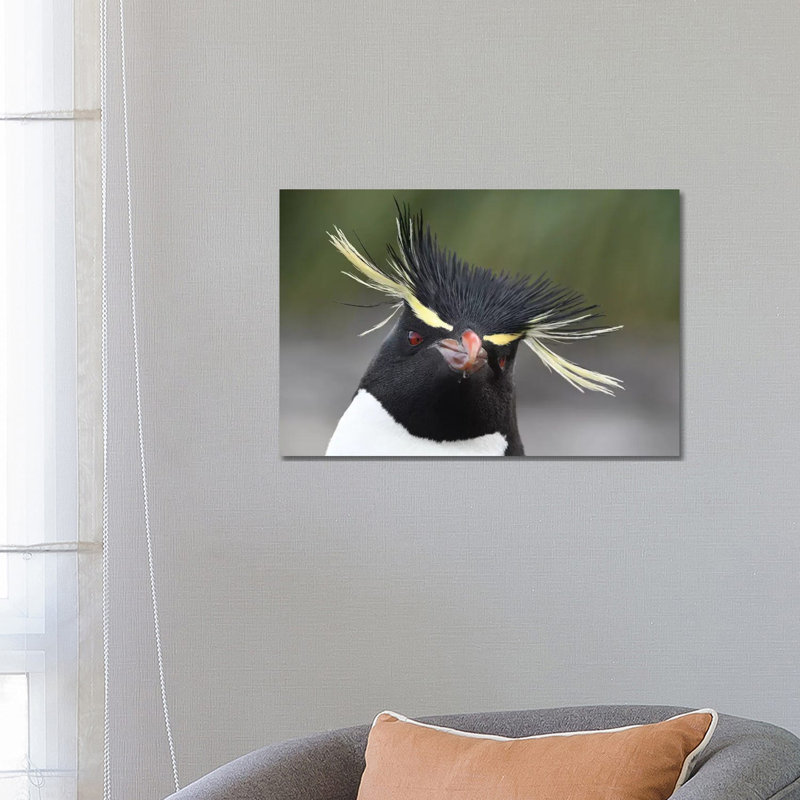 Rockhopper Penguin by Elmar Weiss - Wrapped Canvas Print, 45.72cm H x 66.04cm W x 1.9cm D
