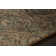 GalaxyTan/Brown Area Rug