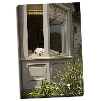 " A Dog " by Karyn Millet
