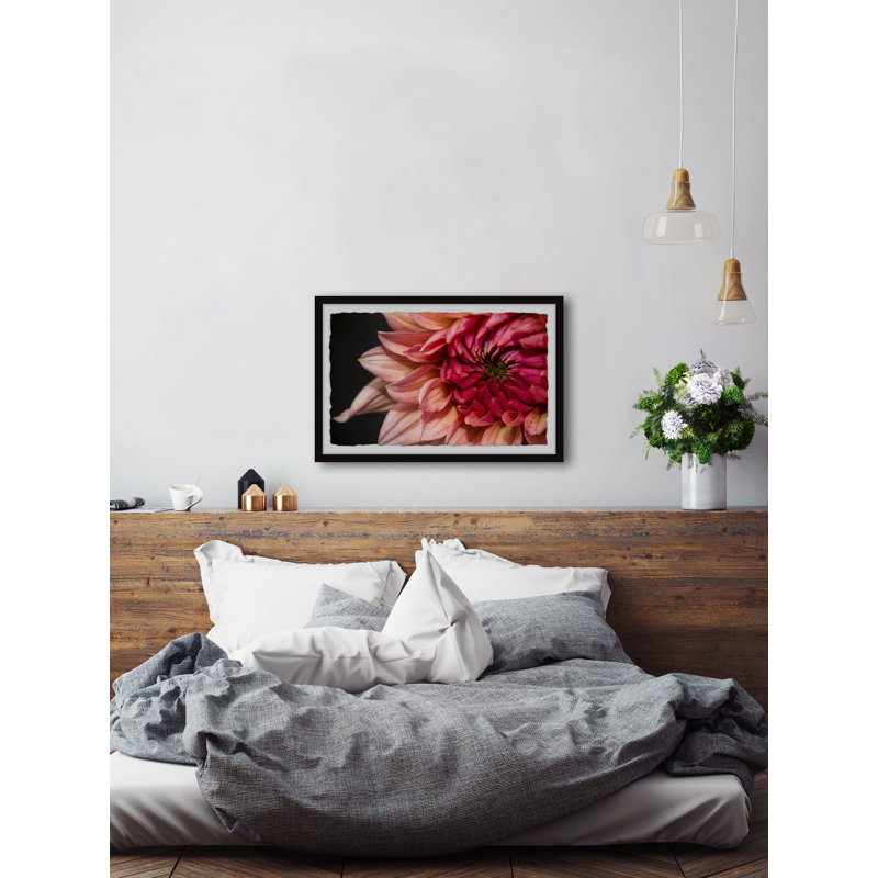 Diverse Dahlia - Single Picture Frame Painting, 41 cm H x 61 cm W