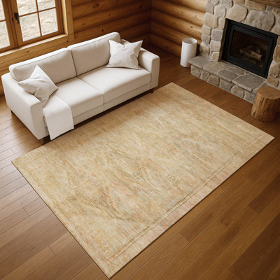 Premium Machine Washable Marasco AMF1631 Global Rug
