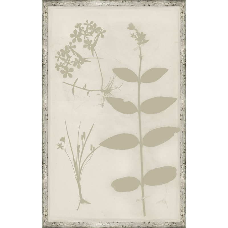 Ghost Herbaria In Celedon Giclee Print