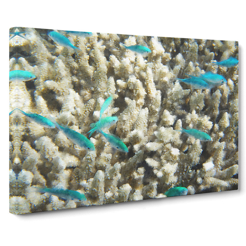 Coral Reef and Blue Fish - Wrapped Canvas Graphic Art, 40cm H x 60cm W x 3cm D