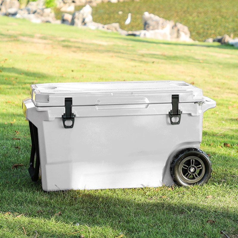 Glacière réfrigérée 50L, Blanc