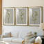Fleurs blanches sur fond blanc I - reproduction sur mesure encadrée de qualité supérieure - 3 pièces-673047-673046