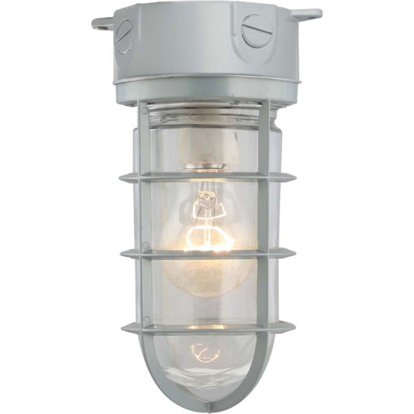 Hauser Lighting Breakwater Bay Houser Wall Light - Wayfair Canada