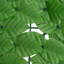 Faux Ivy-61373384-61373375
