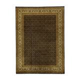 Wool Oriental Area Rug in Gold