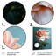 Décoration murale rose, vert, rose, roses-1531649901-1531649902