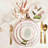 Porcelain China Dinnerware Set 24 Piece - Service for 6