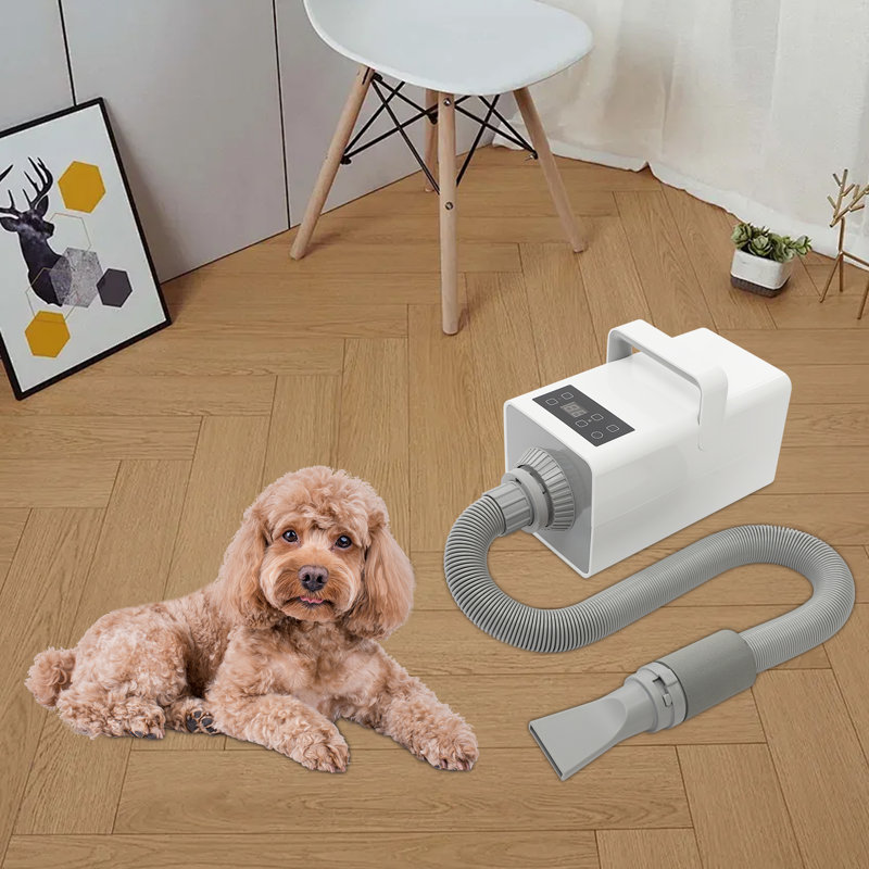 1900W Pet Grooming Hair Dryer