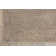 Langan Floral Indoor Rug
