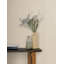 Papier peint Shetland-116329158