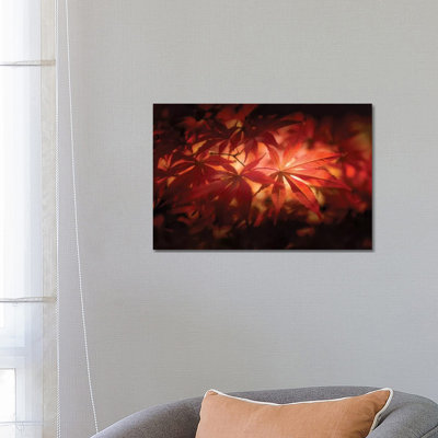 Red Light - Wrapped Canvas Print