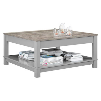 Thaliana Frame Coffee Table with Storage by Gracie Oaks