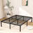 Turberville 16'' Black Metal Platform Bed Frame With Steel Slat Support, No Box Spring Needed-358194523