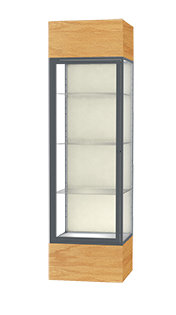 Keepsake Series 80'' H x 24'' W Display Cases Aluminum with Wood Base