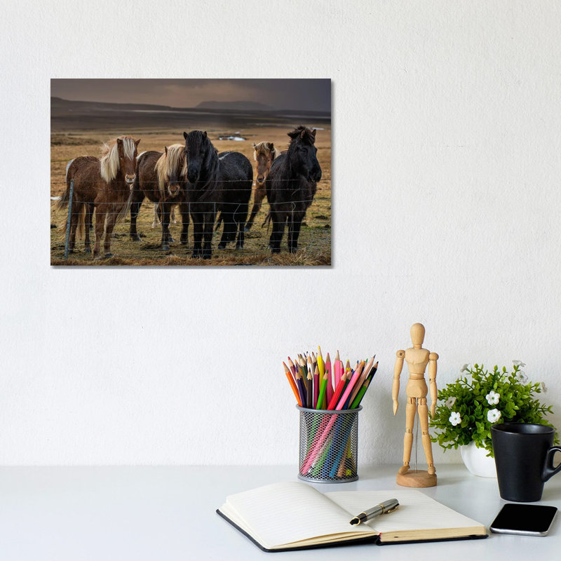 Icelandic Ponies by David Gardiner - Wrapped Canvas Print, 20.32cm H x 30.48cm W