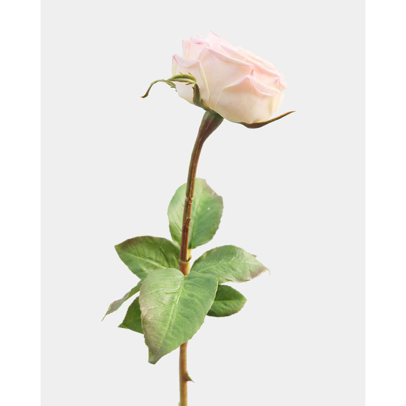 Rose anglaise Real Touch Crème Rose 24"