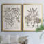 «Sepia Besler Botanicals I», ensemble de 2 reproductions d'art sur toile encadrées-998066296-998066299