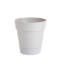 3 Piece Costa Farms Clean Air Live Plant Collection in Ceramic Planter