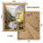 9X12 Picture Frame Set Of 2, Rustic Brown Wood With Glass Photo Frame - Display Pictures 6X8 With Mat Or 9 X 12 Without Mat For Horizontal Or Vertical Table Top And Wall Mounting